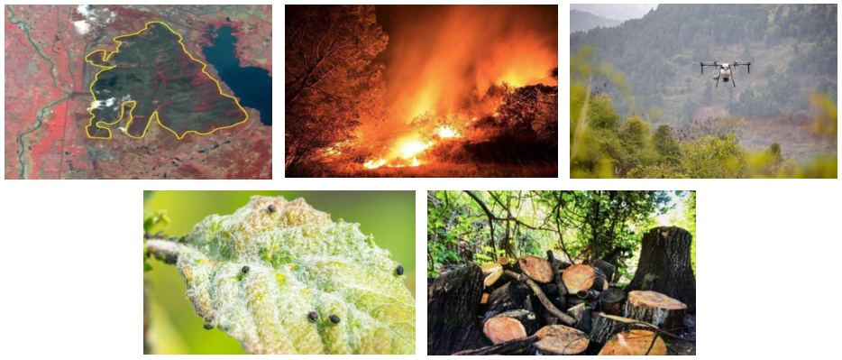 智慧森林一體化防控平臺(圖2) 智慧森林一體化防控平臺(圖2)